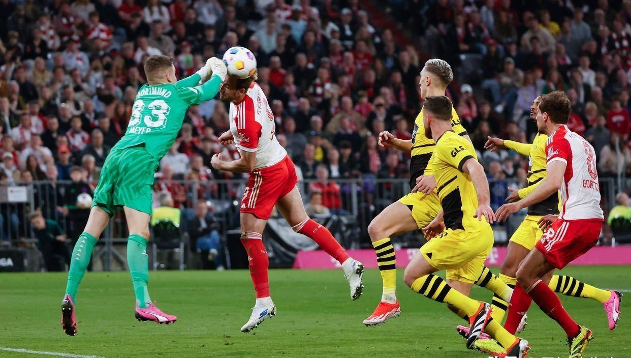 开云下载-包含拜仁决定大胆赌博,欲掀起欧冠冠军浪潮的词条