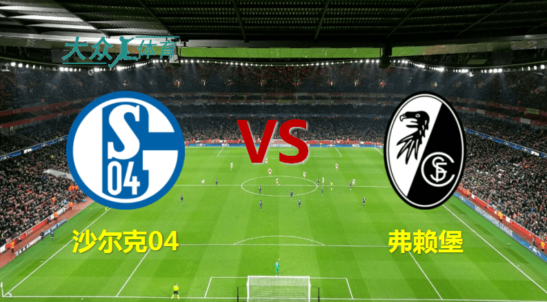 开云体育app-沙尔克客场失利,遭遇德甲阵容调整