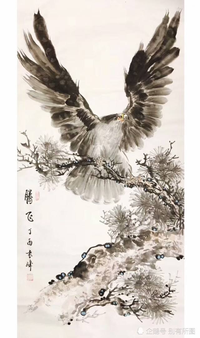 关于老鹰青年军成长快速,实力蒸蒸日上的信息 关于老鹰青年军成长快速,实力蒸蒸日上的信息