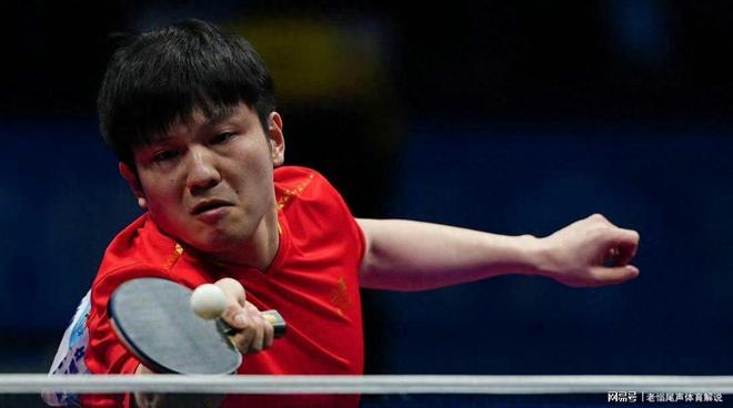 中国队轻取葡萄牙队,樊振东状态火热 中国队轻取葡萄牙队,樊振东状态火热