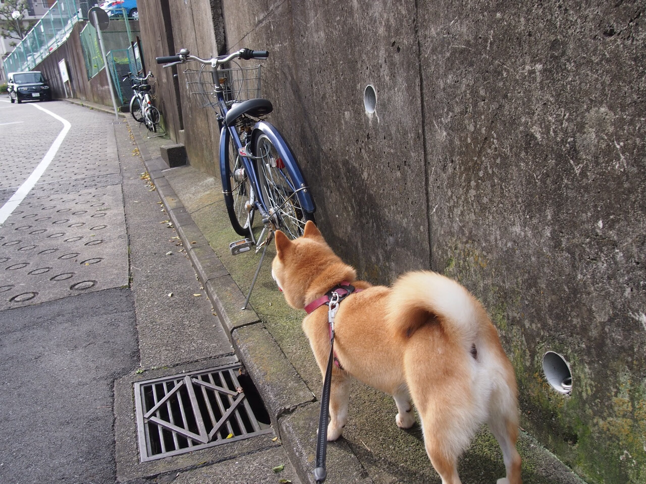 开云APP-以下是为您构思的标题和文章