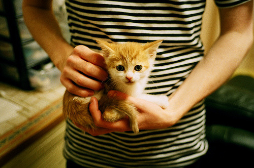 开云体育-当黑马神话照进现实,希腊队用唯一方式击溃卡塔尔,罗德里如何成为众望所归的关键先生?