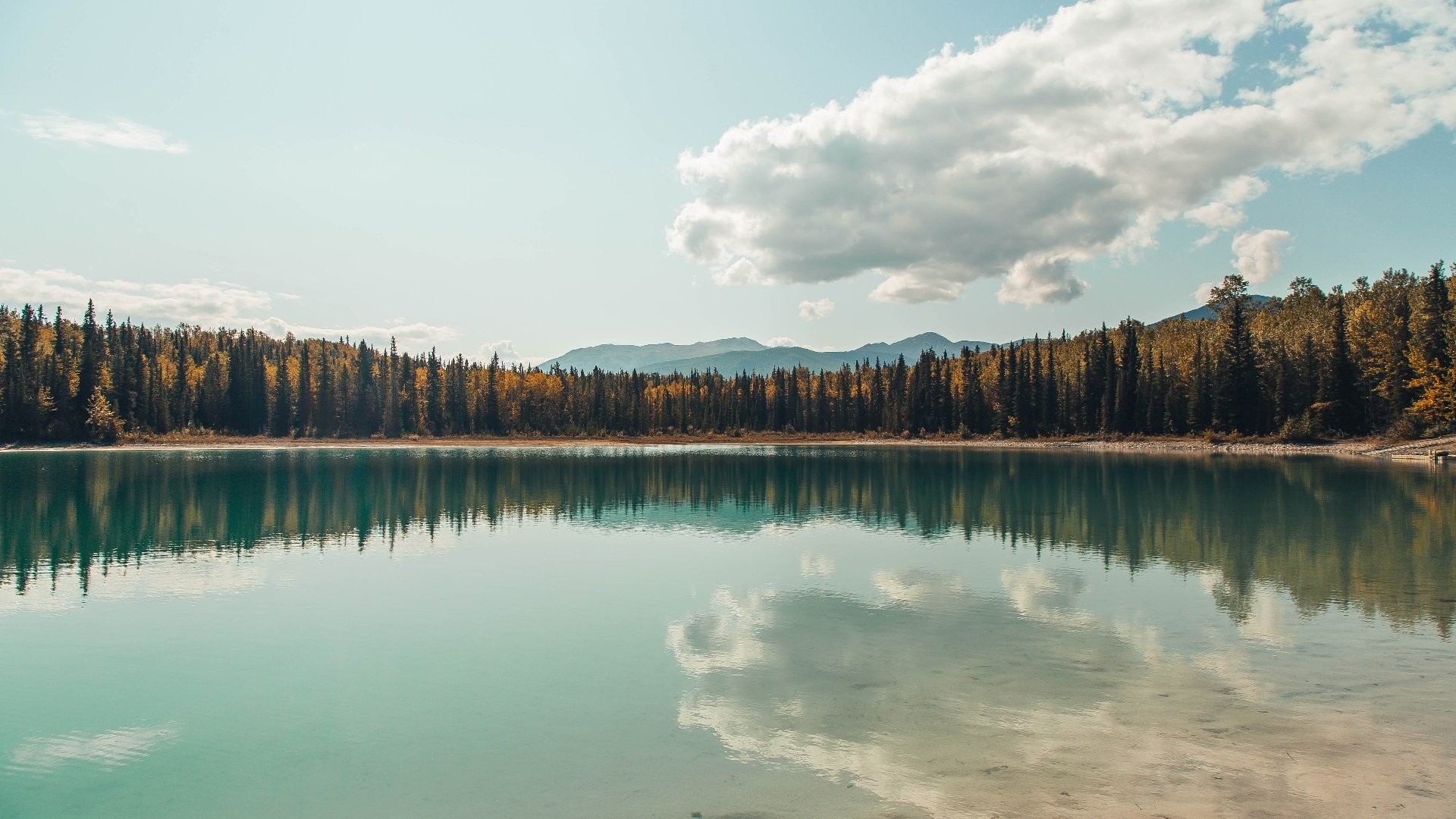 征服街道，沙漠与钢铁的共振—一位墨西哥车手的阿尔及尔战役
