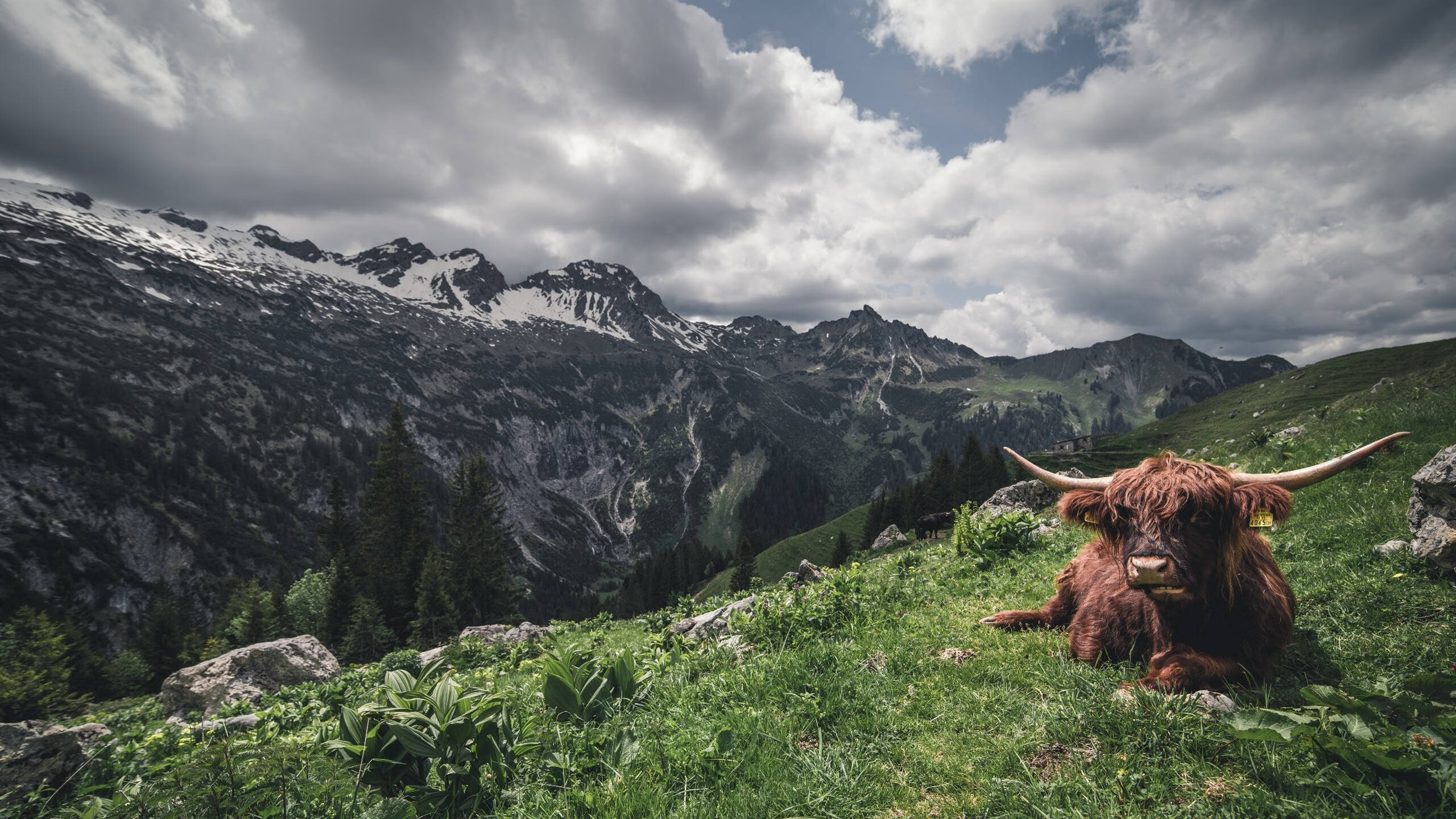 阿克解锁欧冠级中卫密码，节奏完全掌控，塞维利亚完成技术扶贫式狂胜