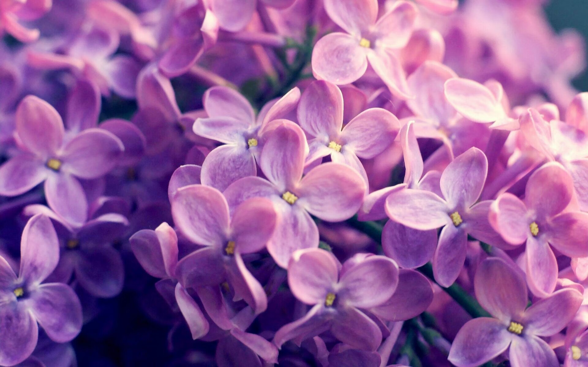 开云体育登录-最熟悉的陌生人,阿圭罗在波兰对阵喀麦隆的烽火中,完成一场独特的自我正名