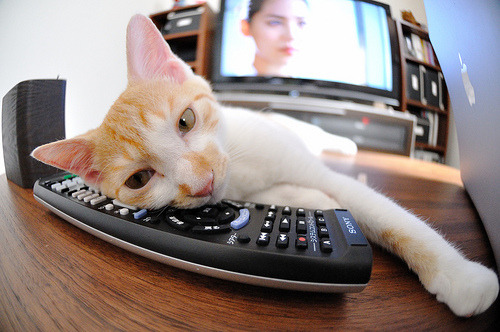 53分！米切尔无争议最佳让老鹰在加时悬崖边飞越上海队