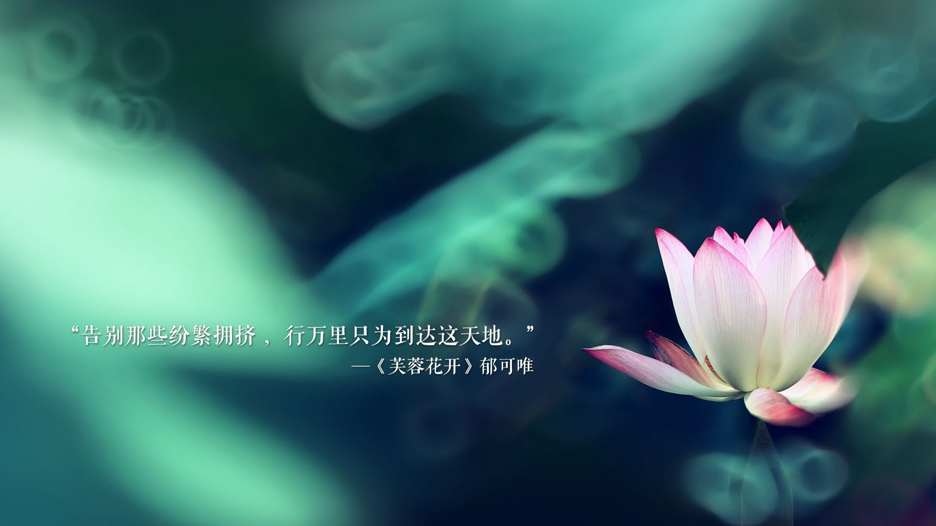 开云平台-替补奇兵暗夜破局,梅西遥控世界杯头名之战,伊朗摩洛哥暗战中的唯一剧本