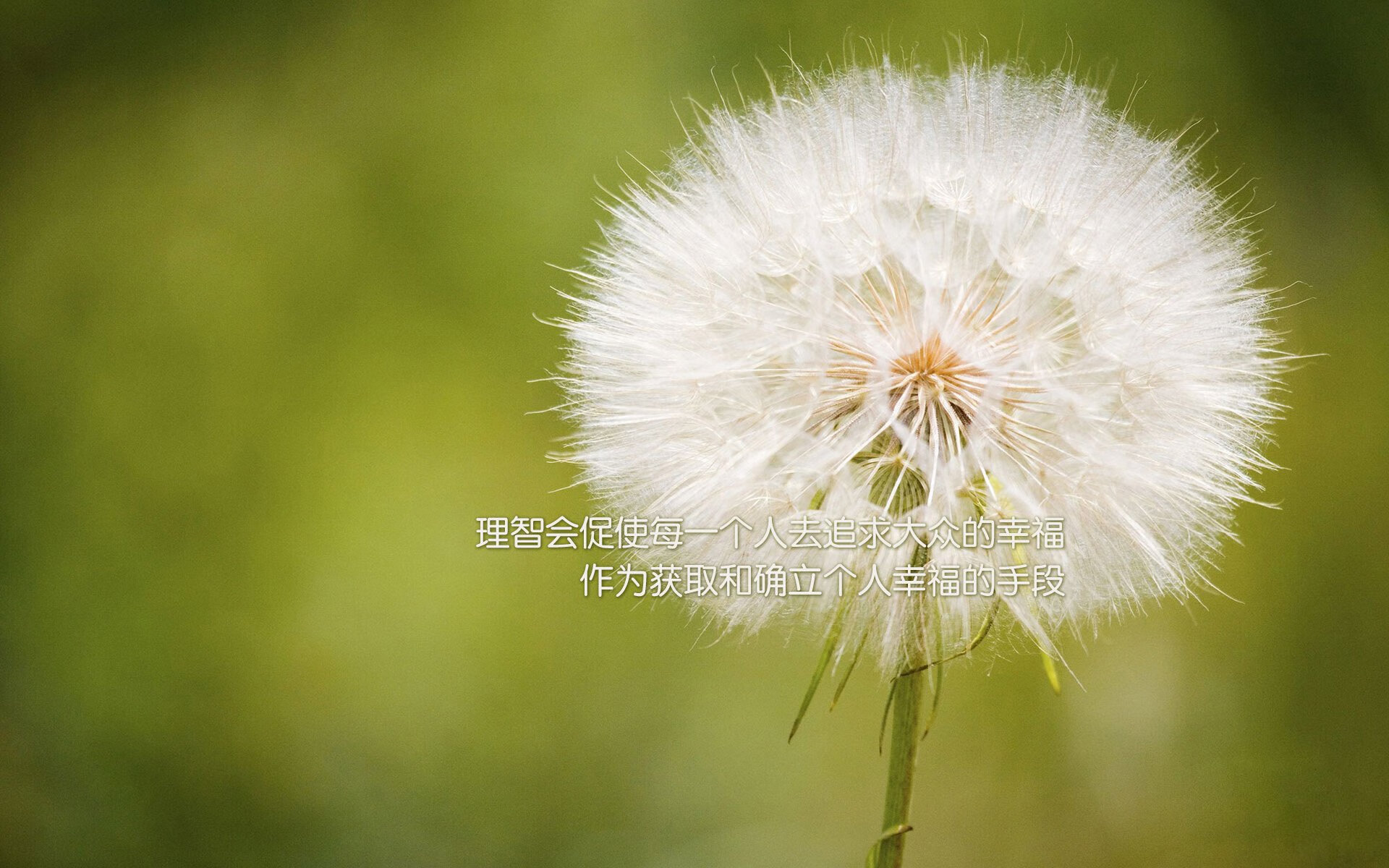 逆转之夜,2026世界杯G组生死战,西班牙绝地反击乌兹别克斯坦,C罗精神引领胜利曙光