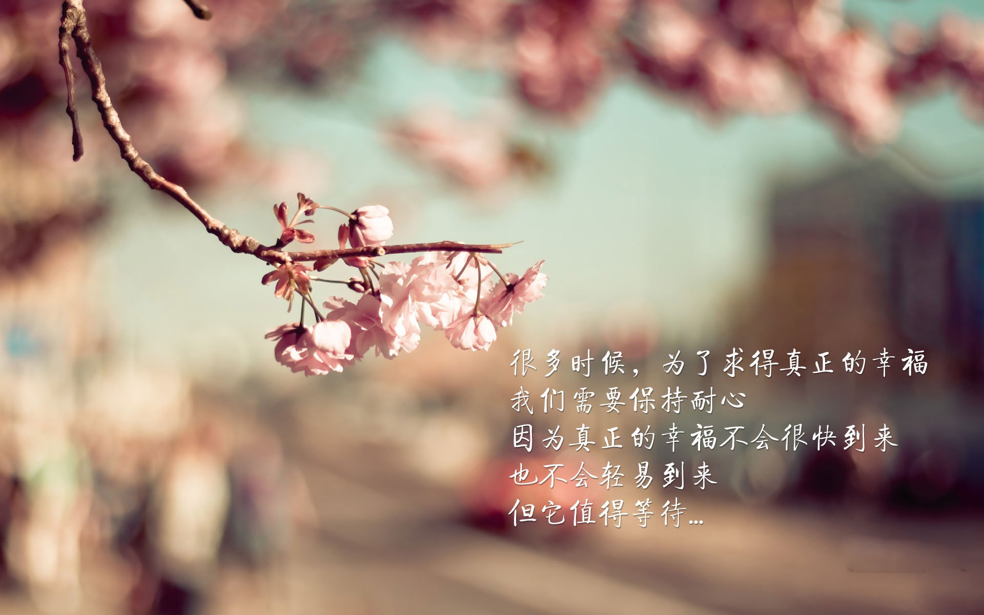 冰与火之战的独白,齐耶赫在2026世界杯八分之一决赛铸就印度奇迹