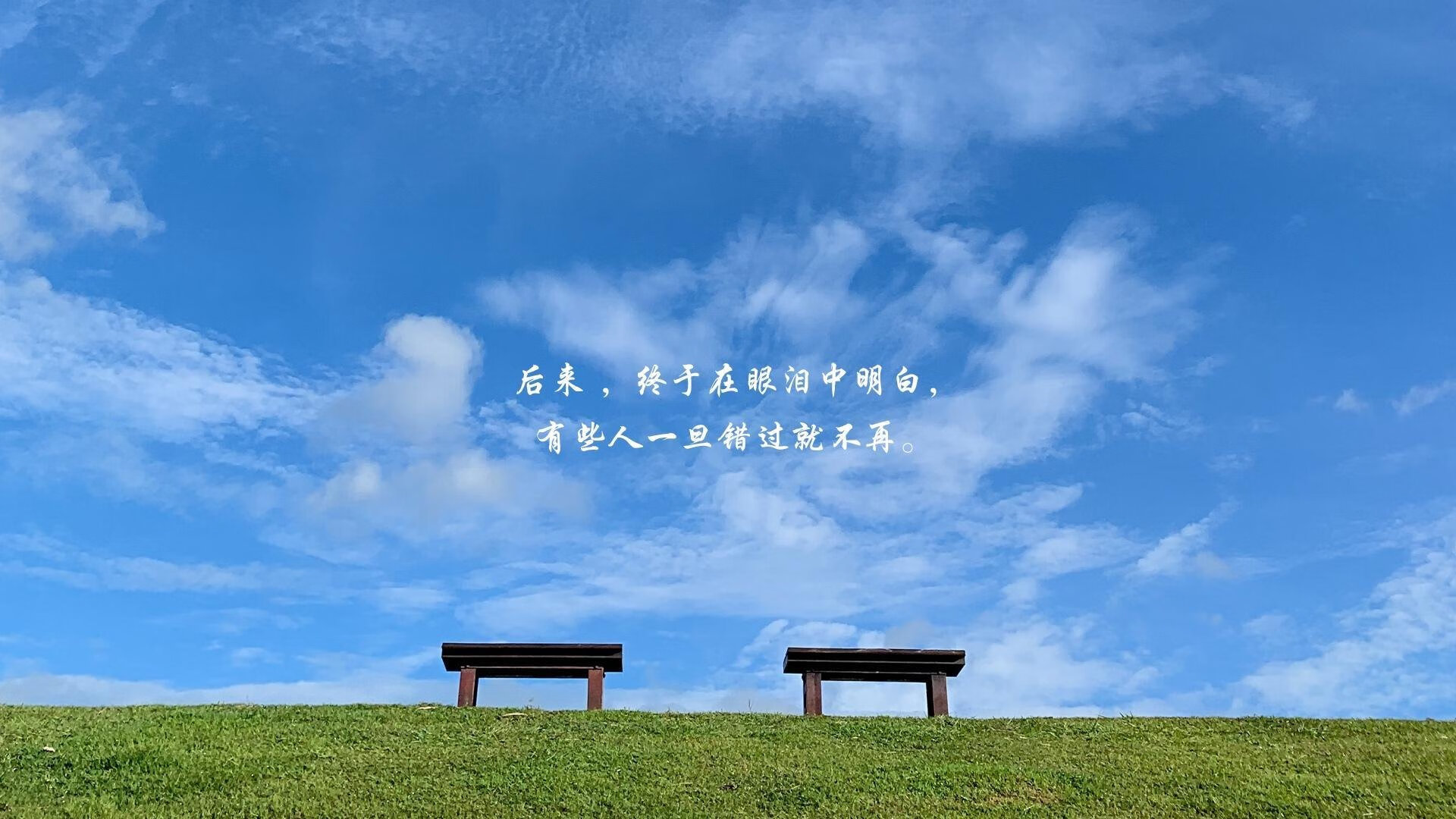 独一无二的巅峰对决,2026世界杯,喀麦隆的钢铁防线与三笘薰的闪电反击